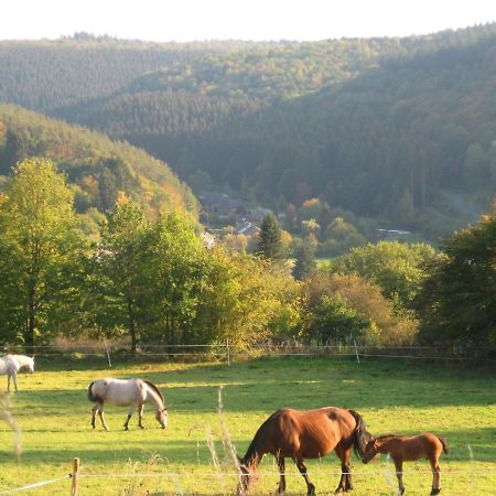 Pretty Cottage Ardennes Near The Valley Of Lesse Vencimont ภายนอก รูปภาพ