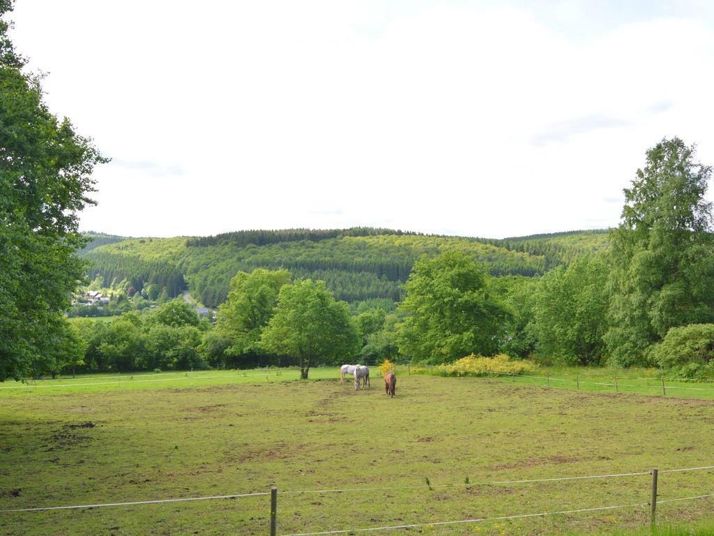 Pretty Cottage Ardennes Near The Valley Of Lesse Vencimont ภายนอก รูปภาพ